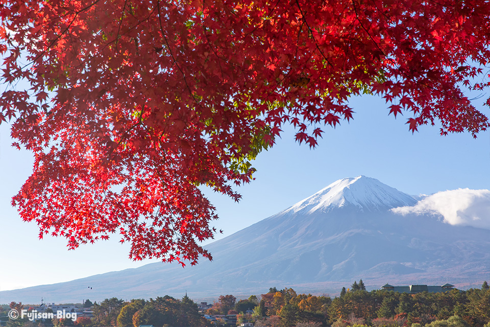 【富士山写真】2018年河口湖紅葉状況（11/10）