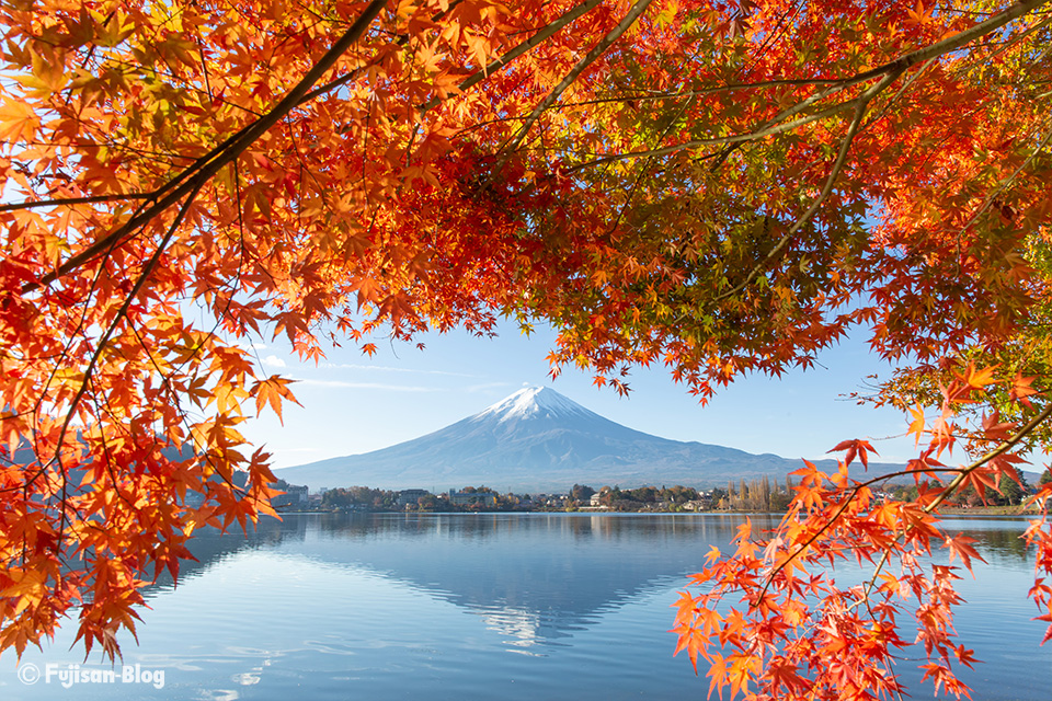【富士山写真】2018年河口湖紅葉状況（11/17）