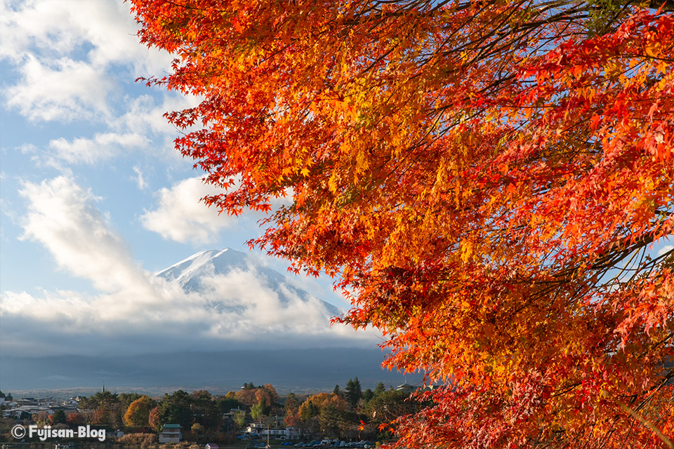 【富士山写真】2018年河口湖紅葉状況（11/20）