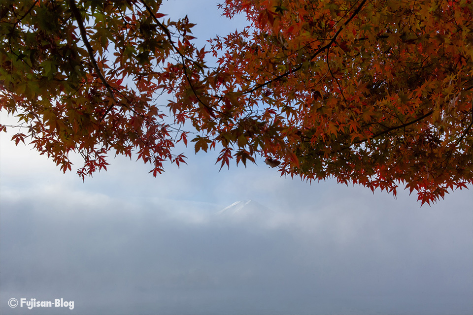 【富士山写真】2018年河口湖紅葉状況（11/21）