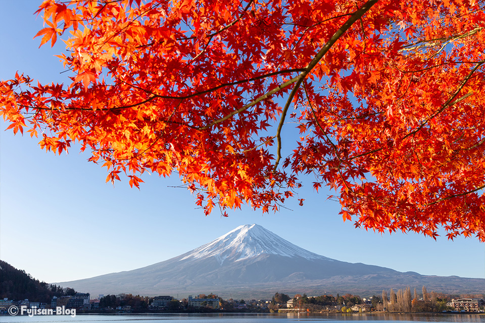 【富士山写真】2018年河口湖紅葉状況（11/30）