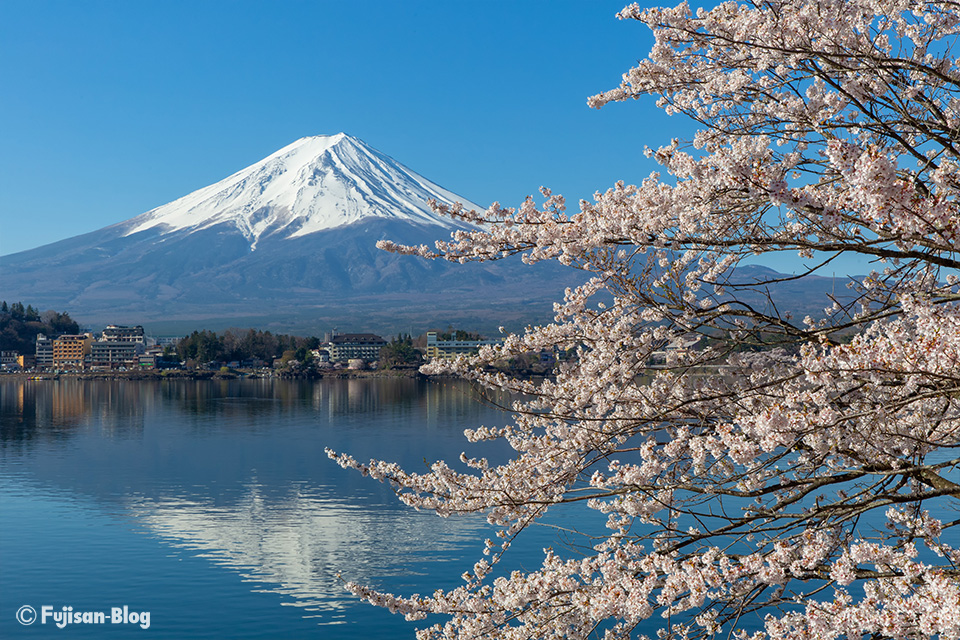 【富士山写真】2019年河口湖からの桜と富士山（4/18）