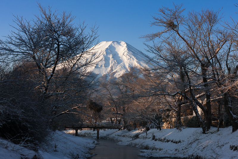 【富士山写真】忍野村 新名庄川からの富士山