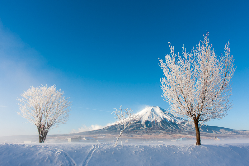 【富士山写真】忍野村からの富士山