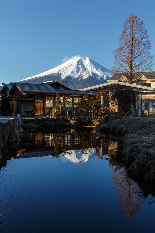 忍野八海からの富士山