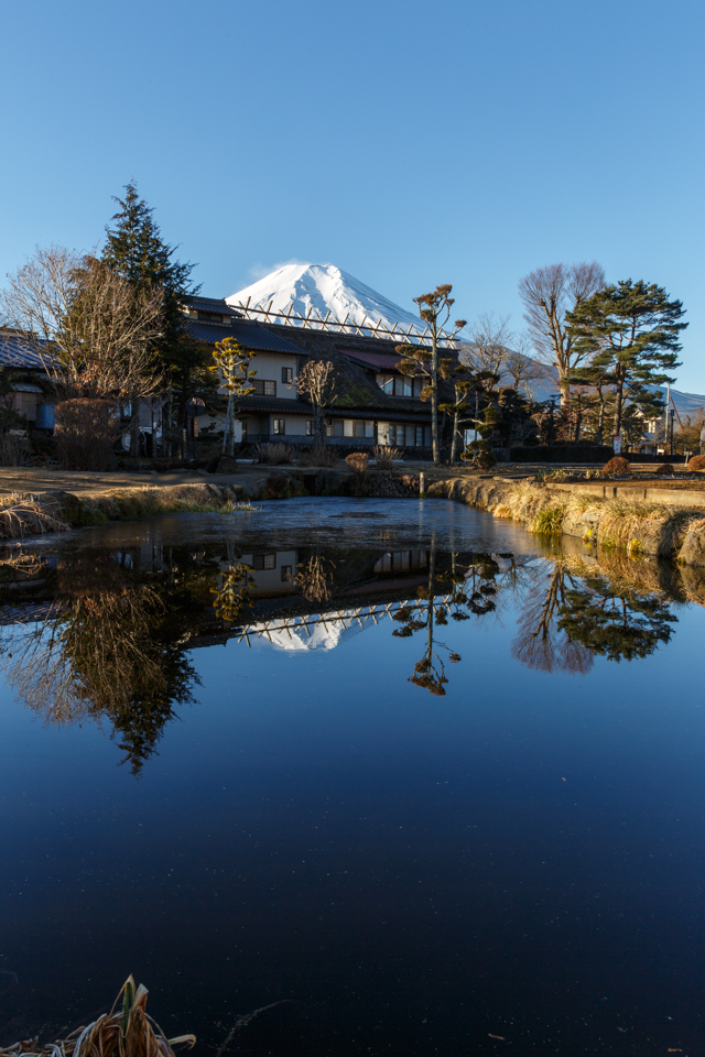 忍野八海からの富士山