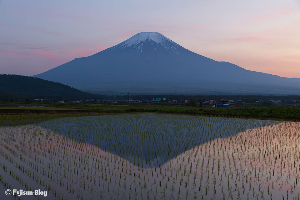 【富士山写真】忍野村から田んぼと富士山