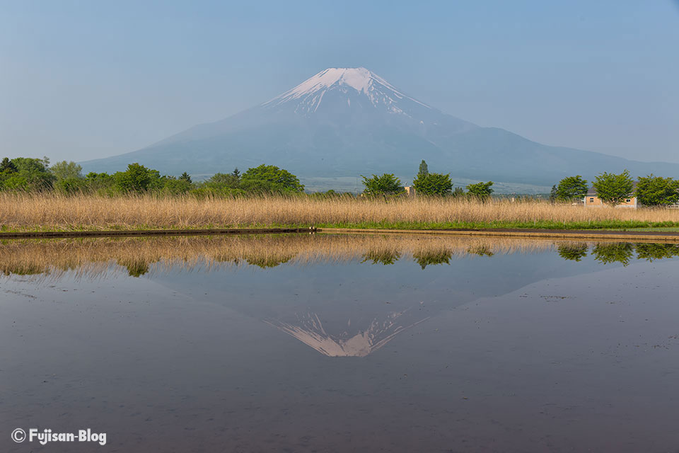 【富士山写真】忍野村から田んぼと霞んだ富士山