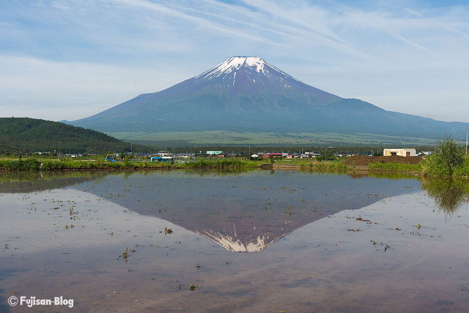 忍野村からの田んぼと富士山