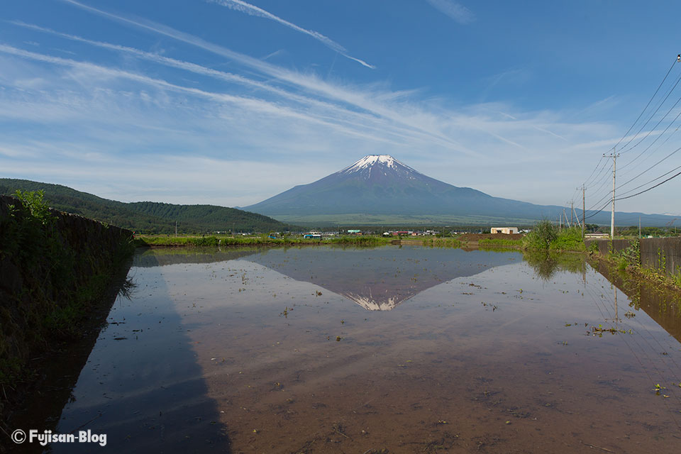 忍野村からの田んぼと富士山