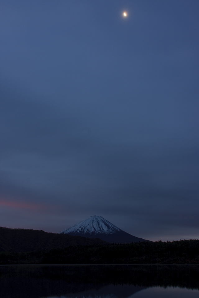 【富士山写真】 西湖・根場の朝