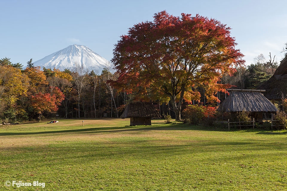 【富士山写真】西湖野鳥の森公園、西湖いやしの里根場の秋