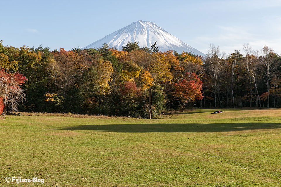 西湖野鳥の森公園からの富士山