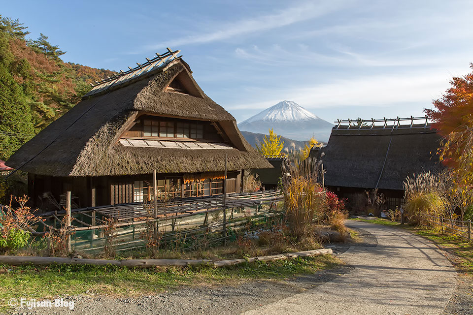 西湖いやしの里根場からの富士山