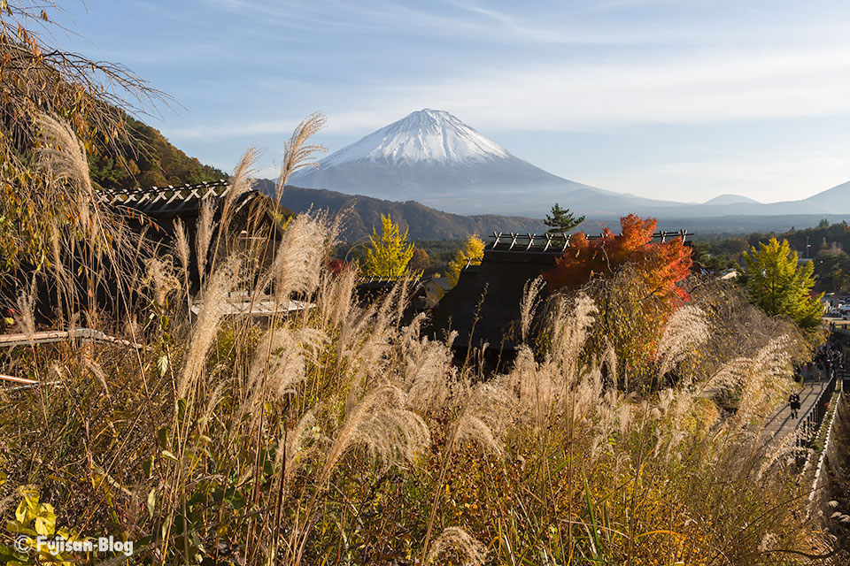 西湖いやしの里根場からの富士山