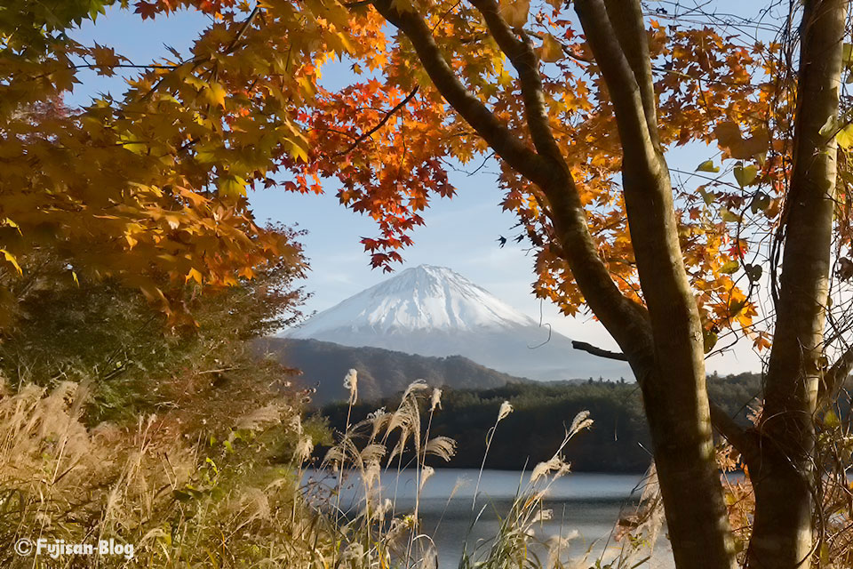 西湖からの富士山
