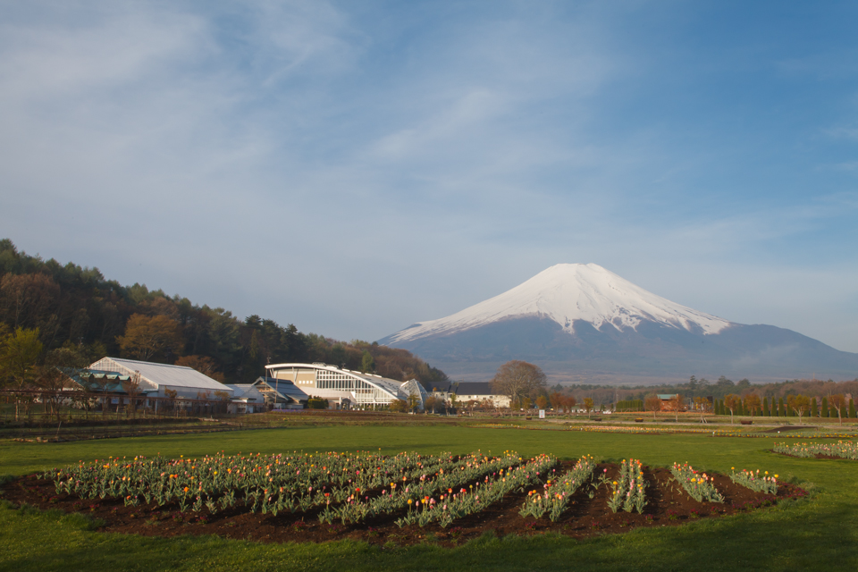 花の都公園