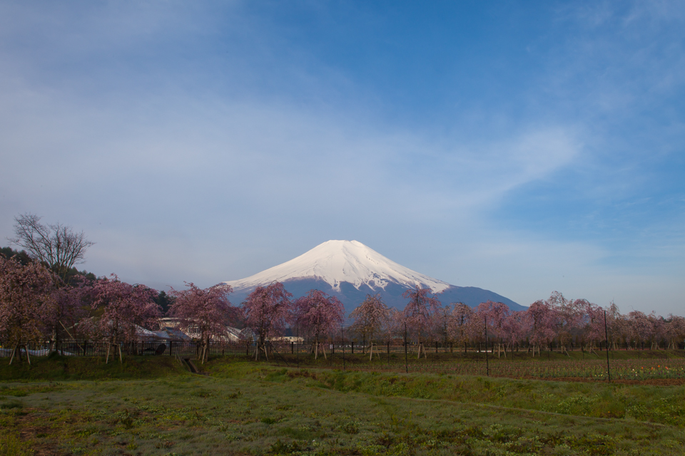 花の都公園