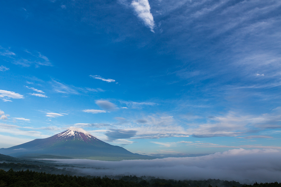 【富士山写真】 梅雨の合間に山中湖へ