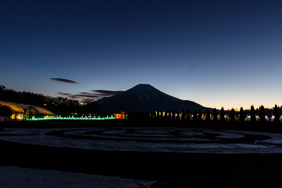 【富士山写真】 山中湖アートイルミネーション 「FANTASEUM」