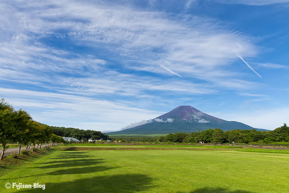 山中湖花の都公園からの富士山