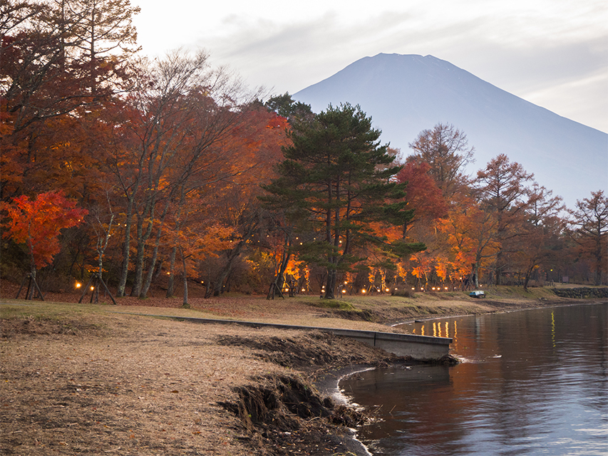 【富士山写真】2017年山中湖紅葉状況（11/7）