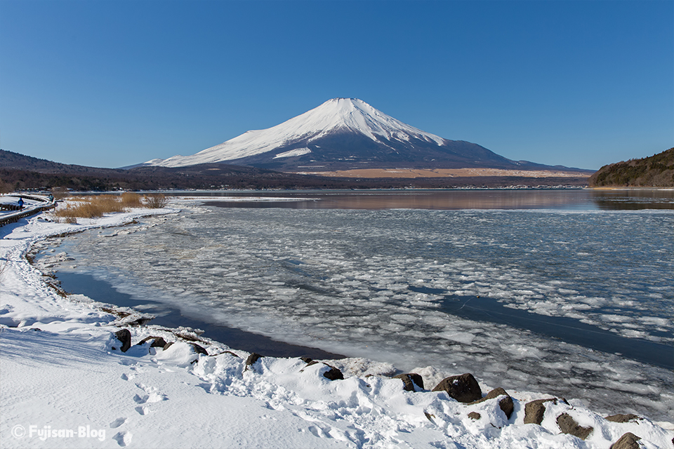 山中湖からの富士山