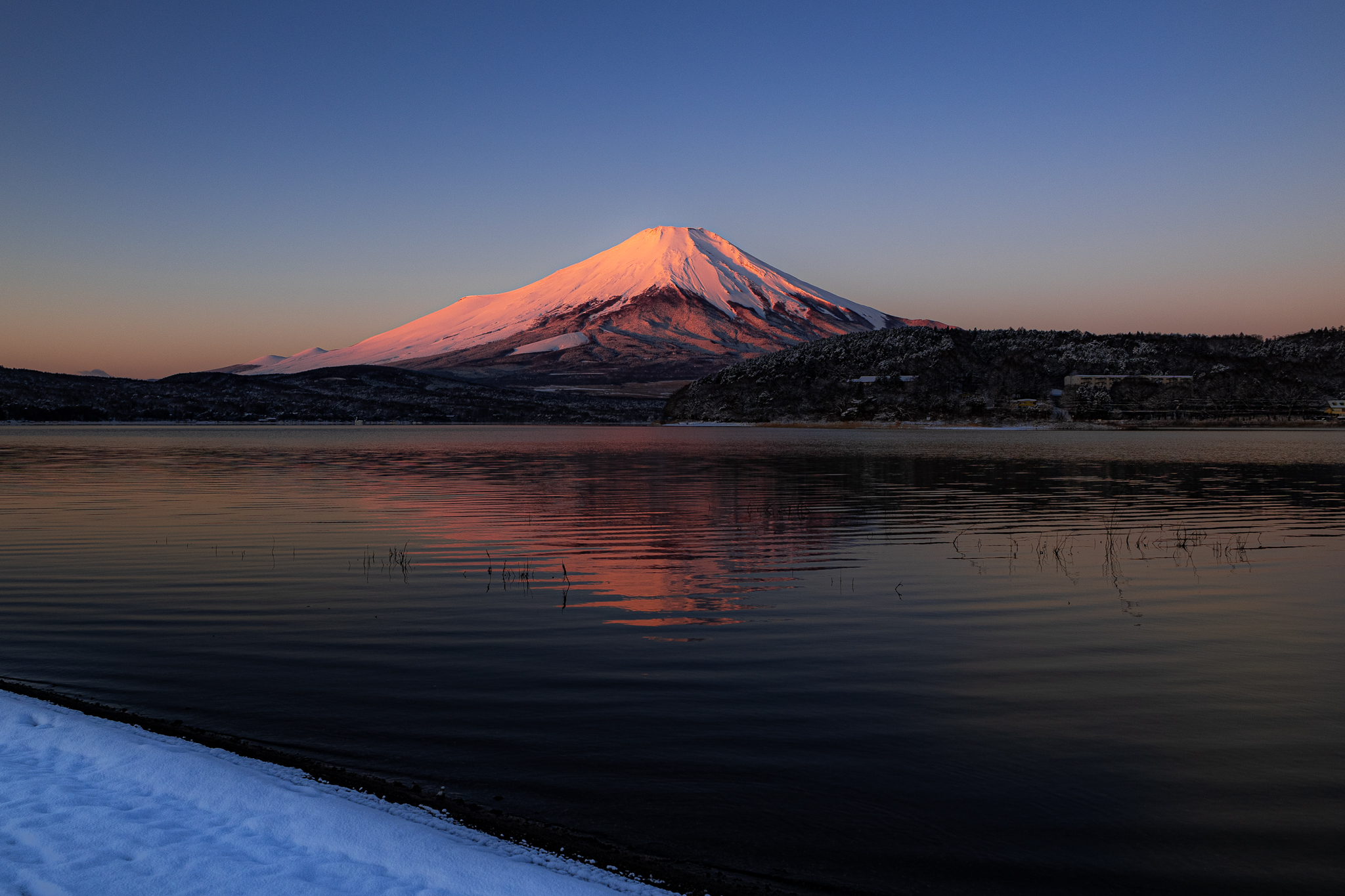 【富士山写真】2020年1月17日 山中湖村平野湖岸