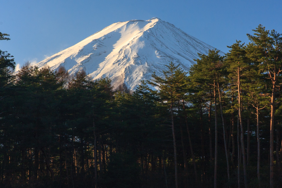 山梨県立富士北麓駐車場