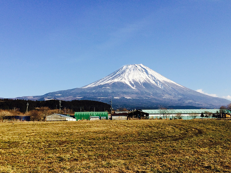 【富士山　観光情報】　ふじさん05