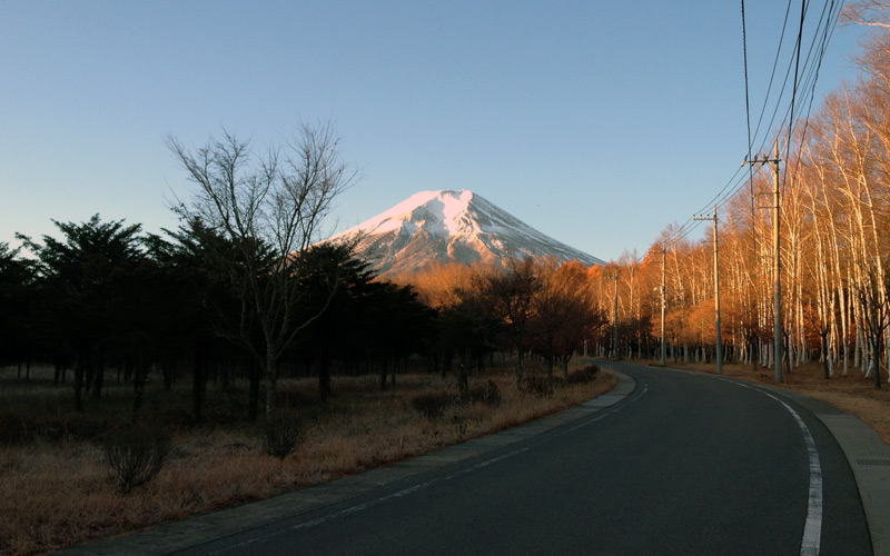 富士山と白樺