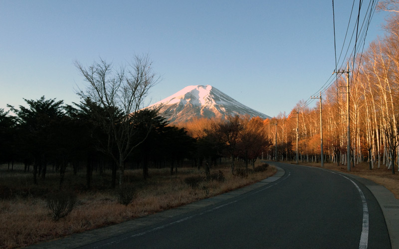 ブログはじめました。