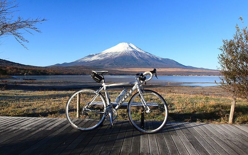 山中湖湖畔より