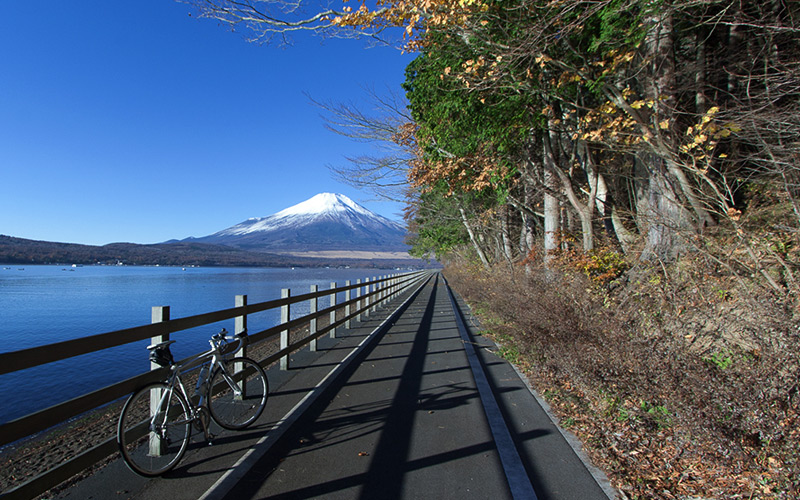 サイクリングロード