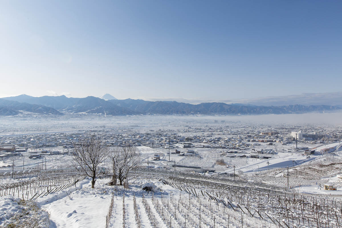 大雪の過ぎ去った朝