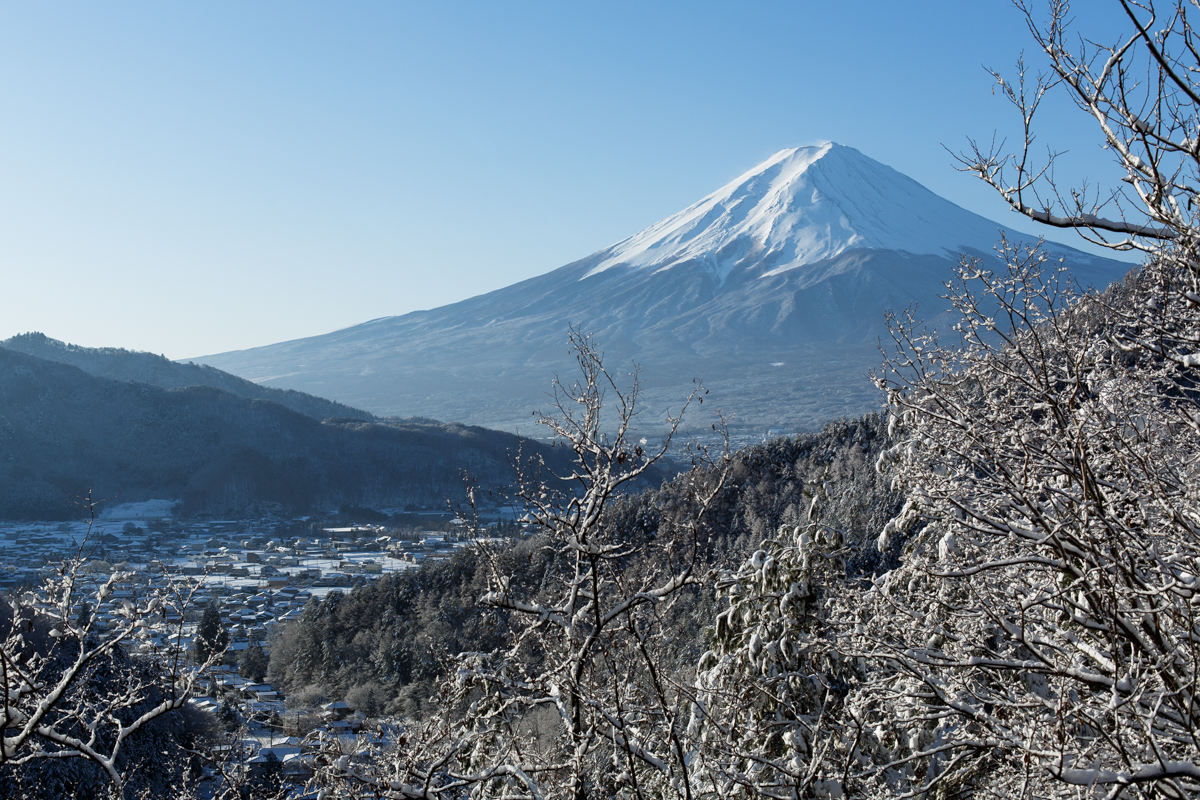 雪が降りました