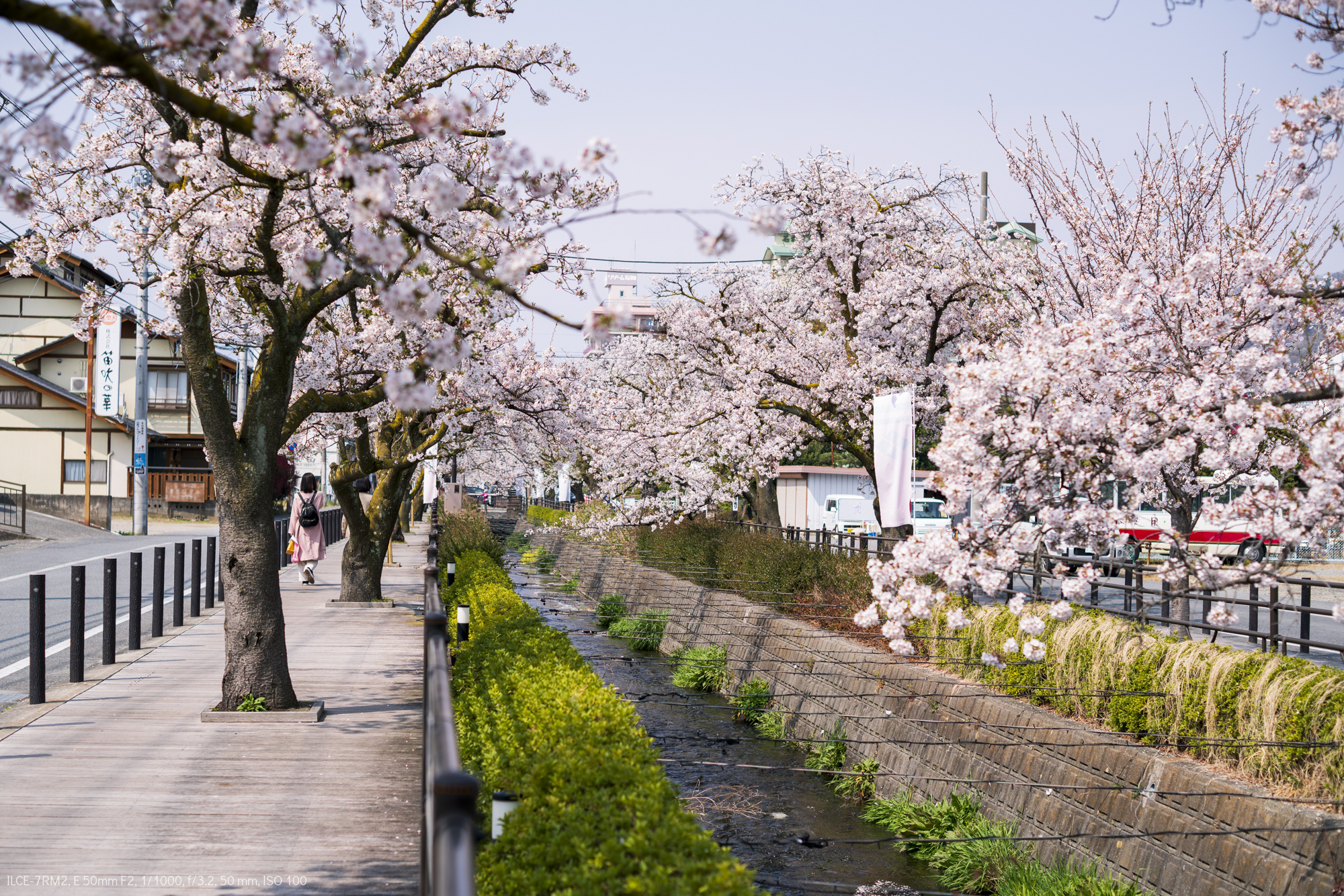 SAKURA2019