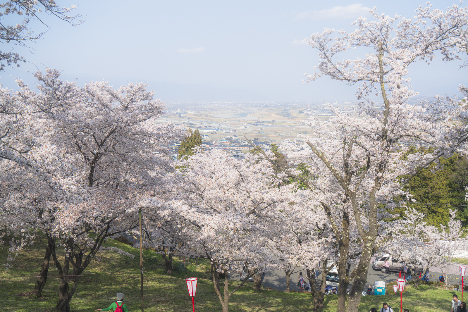 山梨さくら巡り【大法師公園・妙了寺・八代ふるさと公園】