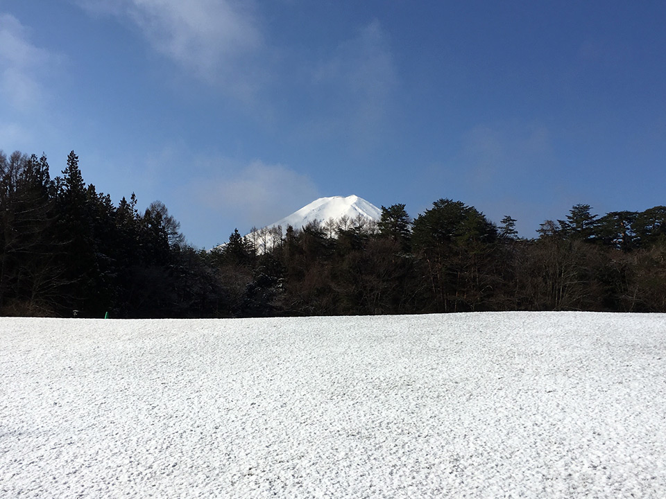 諏訪の森自然公園（パインズパーク）うっすら雪景色