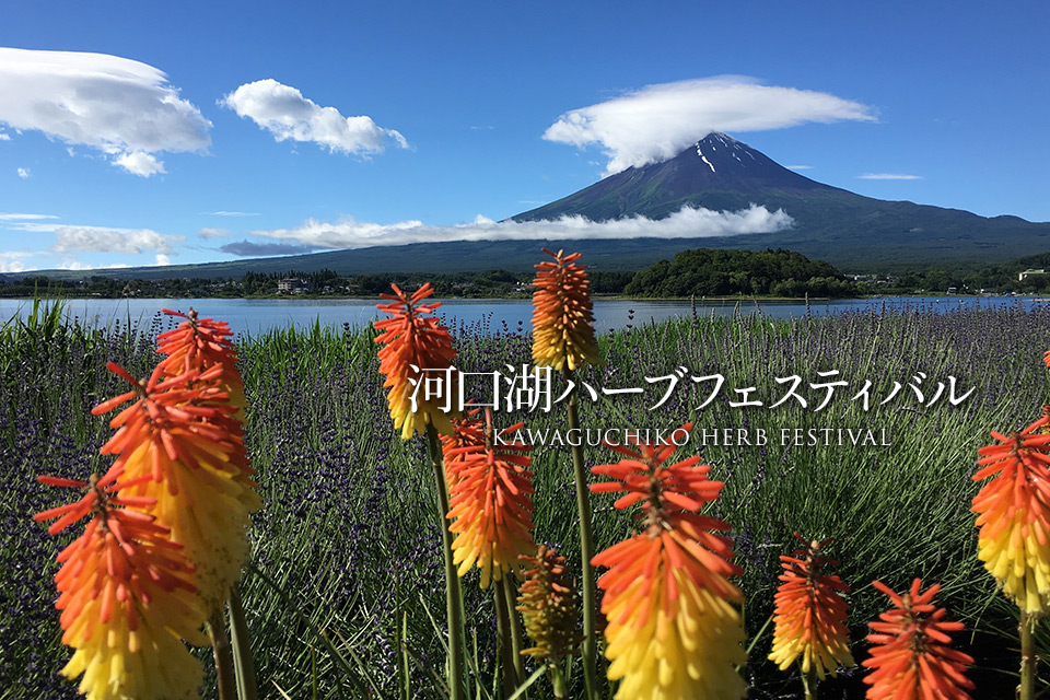 河口湖ハーブフェスティバル