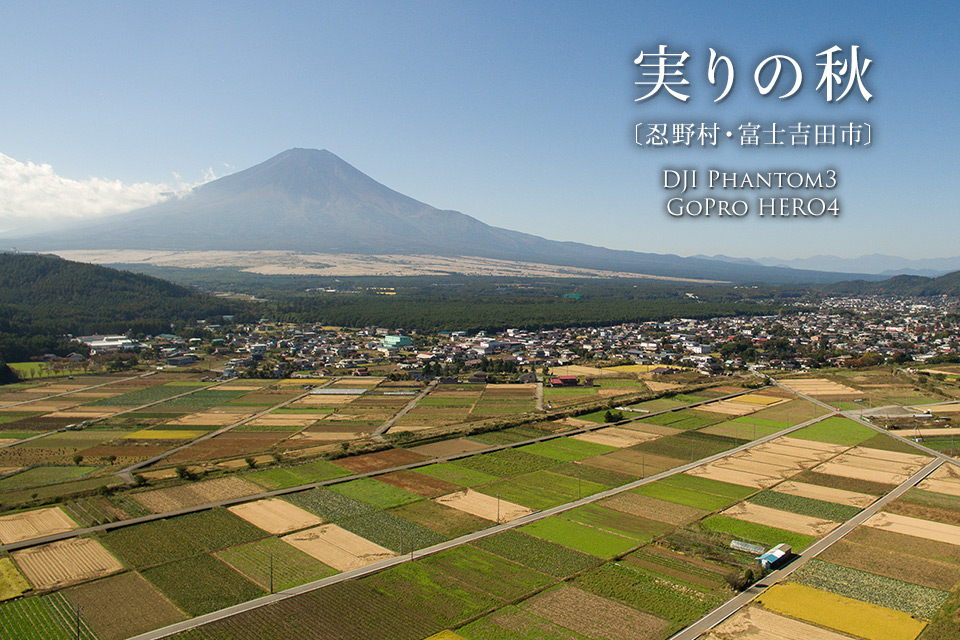 山梨県 忍野村・富士吉田市 実りの秋