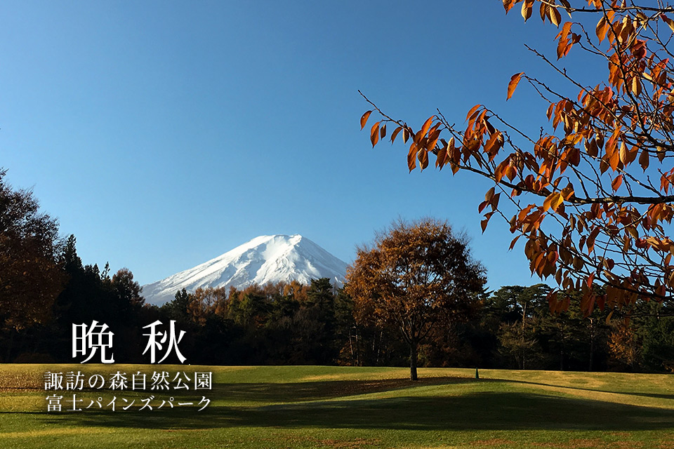 晩秋 諏訪の森自然公園 富士パインズパーク