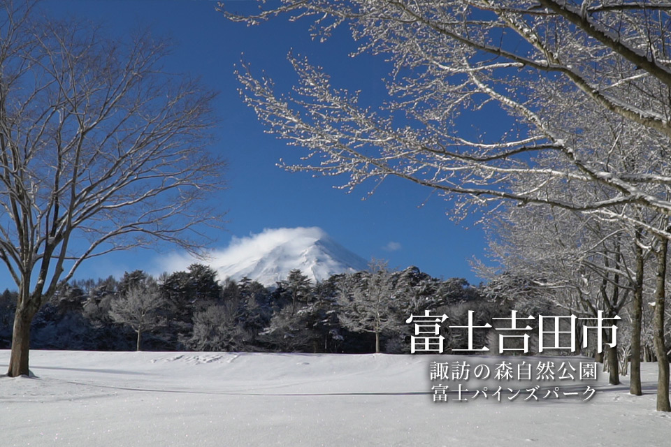 雪景色のパインズパーク