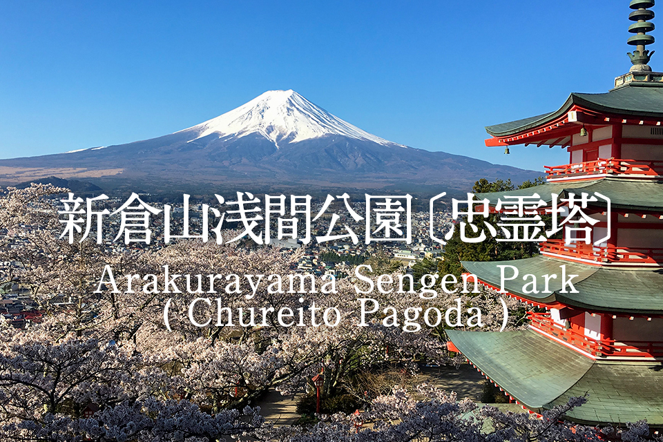 新倉山浅間公園 富士山と忠霊塔の桜